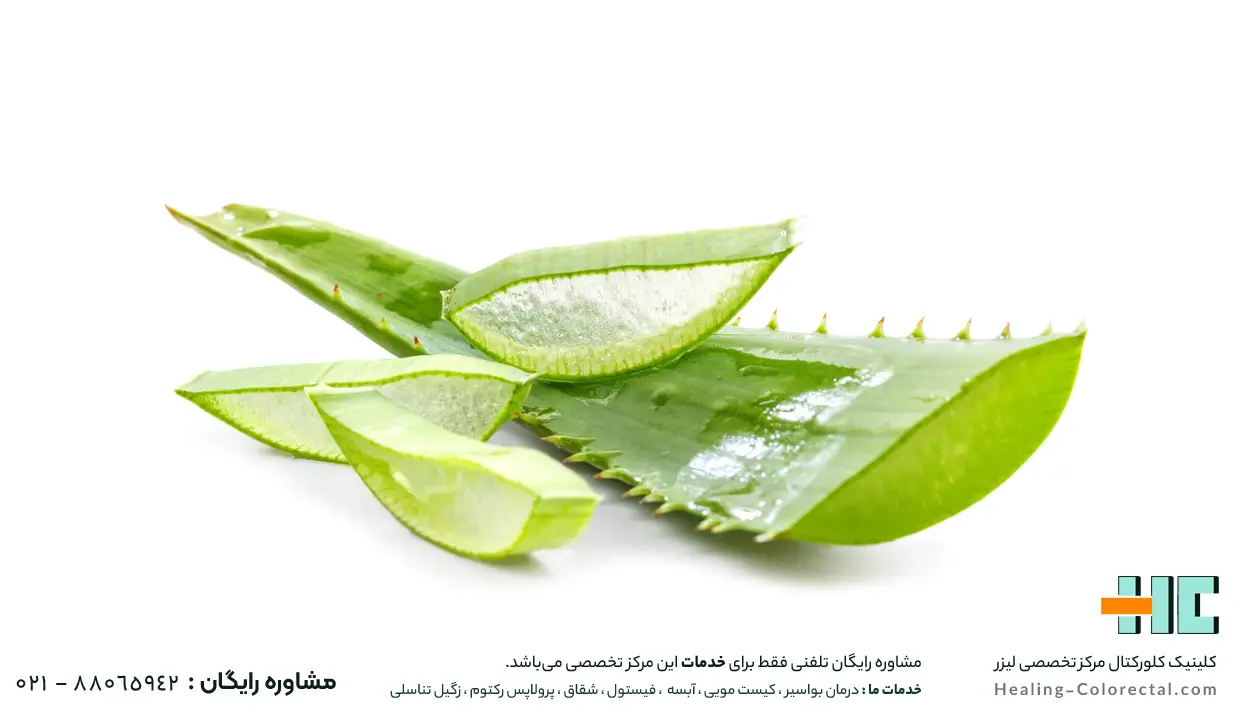 آلوئهورا برای درمان خانگی شقاق مقعدی
